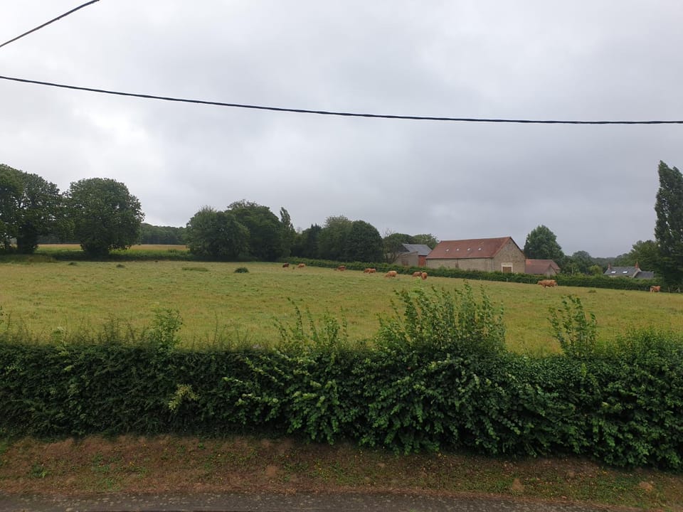 Day, Natural landscape, View (from property/room)