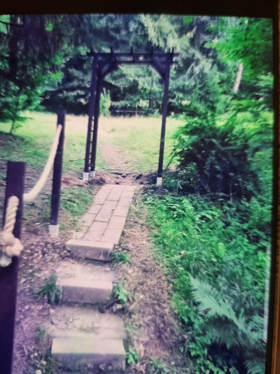 Abenteuerurlaub im Tannenwald Apartment in Ilmenau