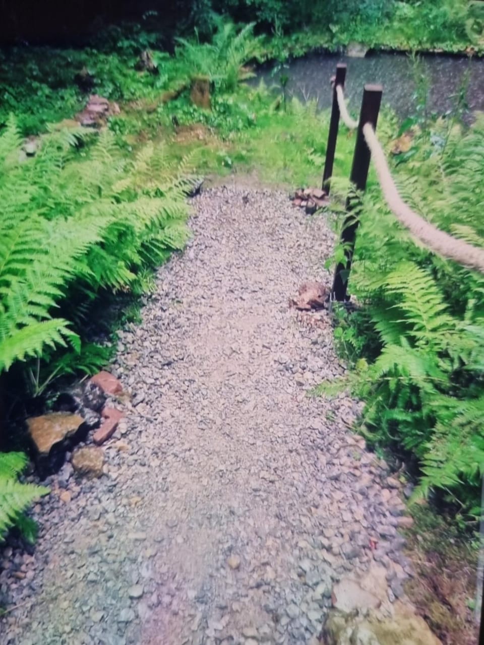 Abenteuerurlaub im Tannenwald Apartment in Ilmenau