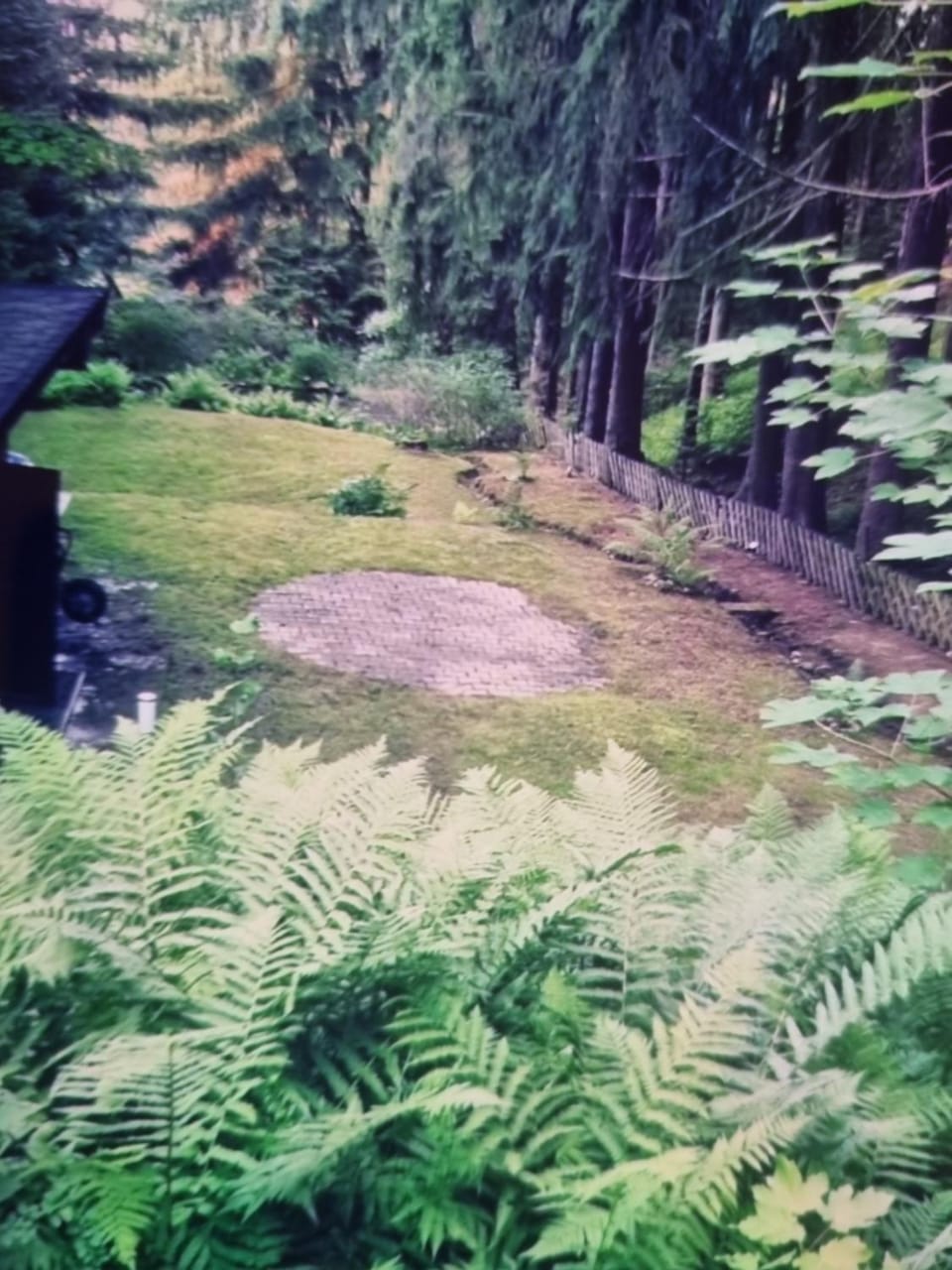 Abenteuerurlaub im Tannenwald Apartment in Ilmenau