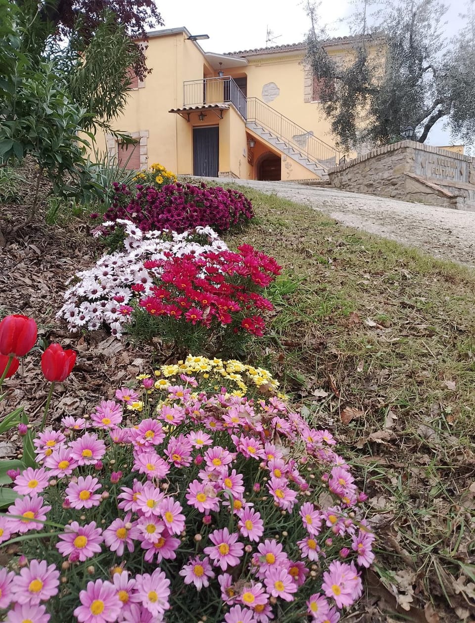 Property building, Spring