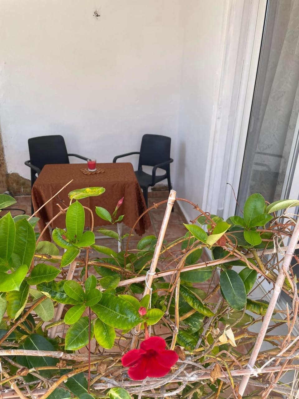 La Playa Hostel in Costa Adeje