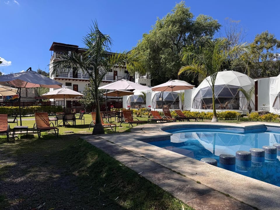 Garden, Swimming pool