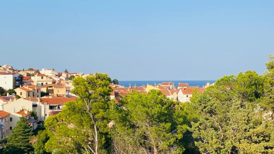 Duplex neuf centre ville, à 5 minutes de la plage! House in Port-Vendres