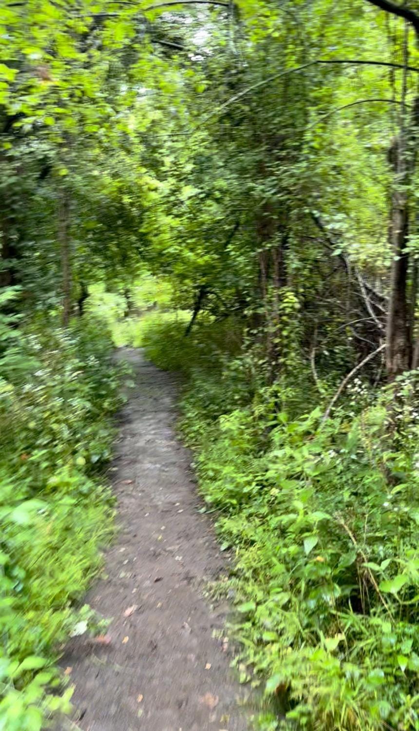 Licensed-8 Acre Estate, Trail & Stream with 3 Beds House in Hamilton