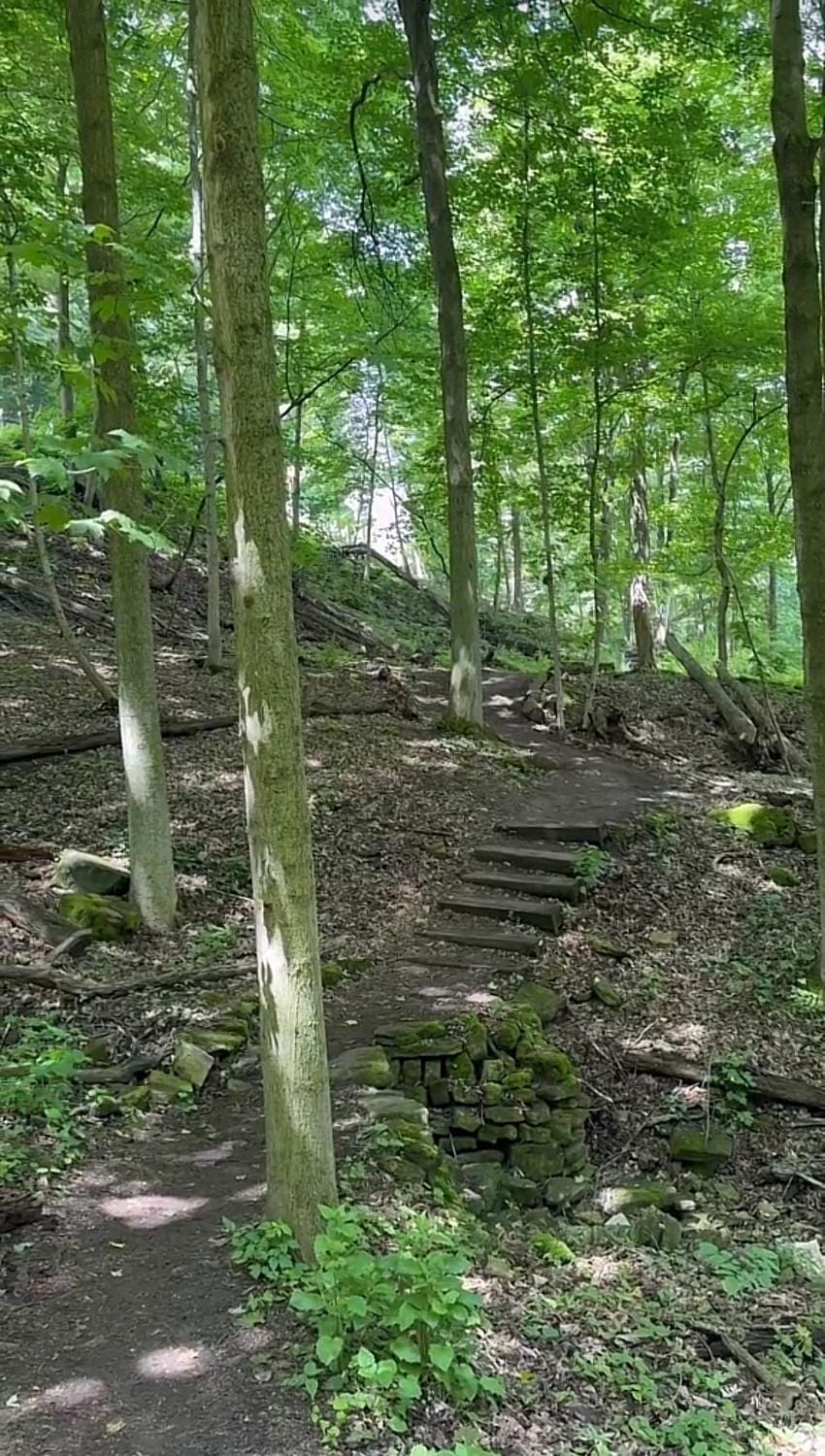 Licensed-8 Acre Estate, Trail & Stream with 3 Beds House in Hamilton
