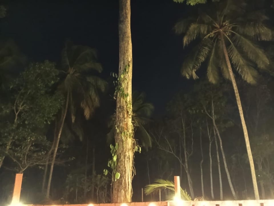 The Cool Retreat, Pool Extra, at gaya3farms House in Kerala