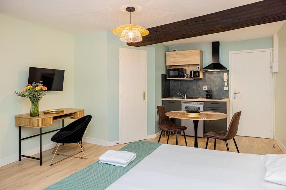 Elsa vert - charmante suite au cœur d'Orléans Apartment in Orléans
