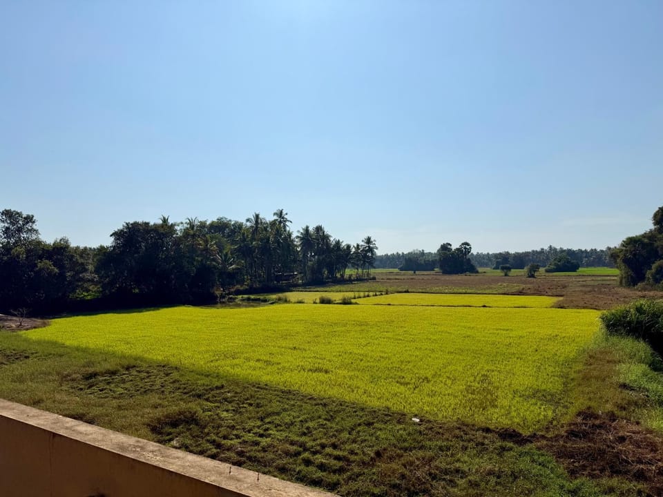 View (from property/room)