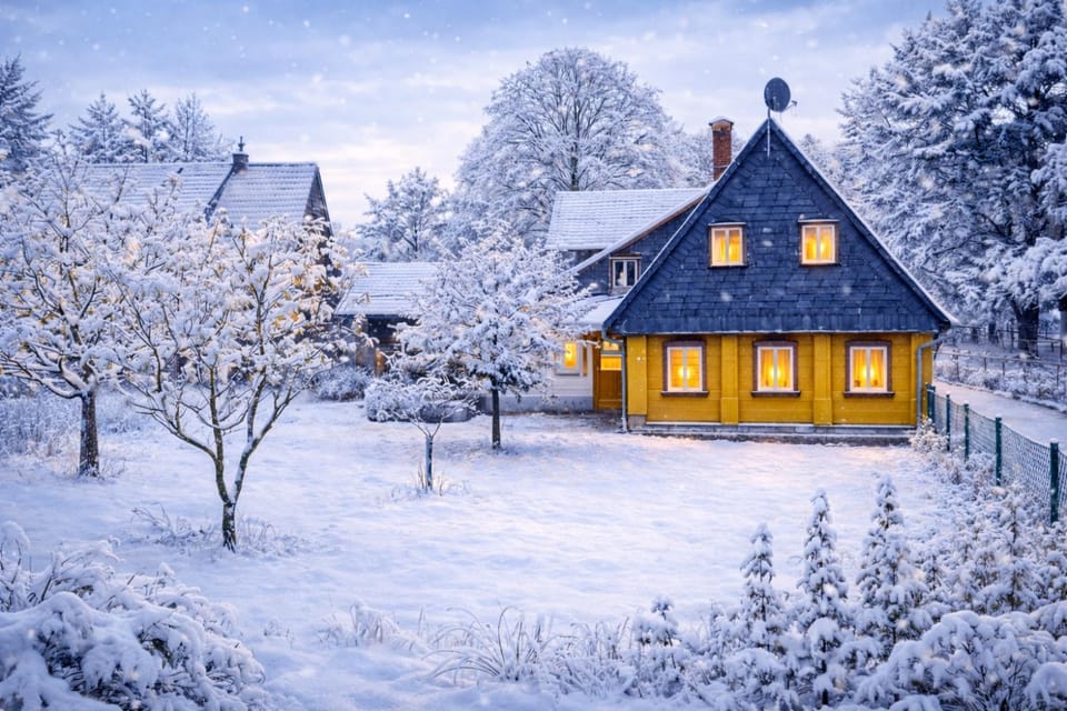 Property building, Winter, Garden