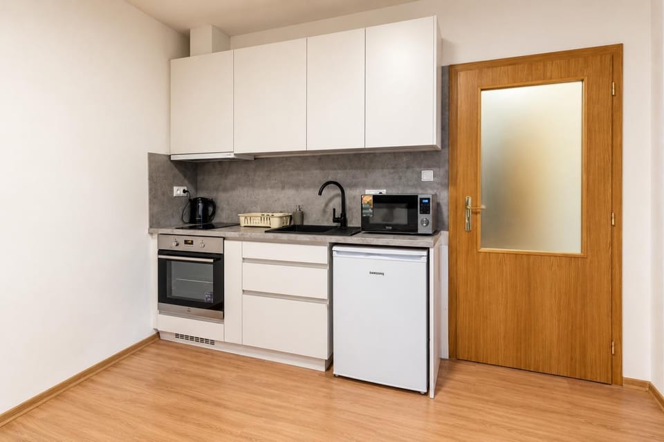 Modern & Bright City Center Studio for 2 by AP Apartment in Czechia
