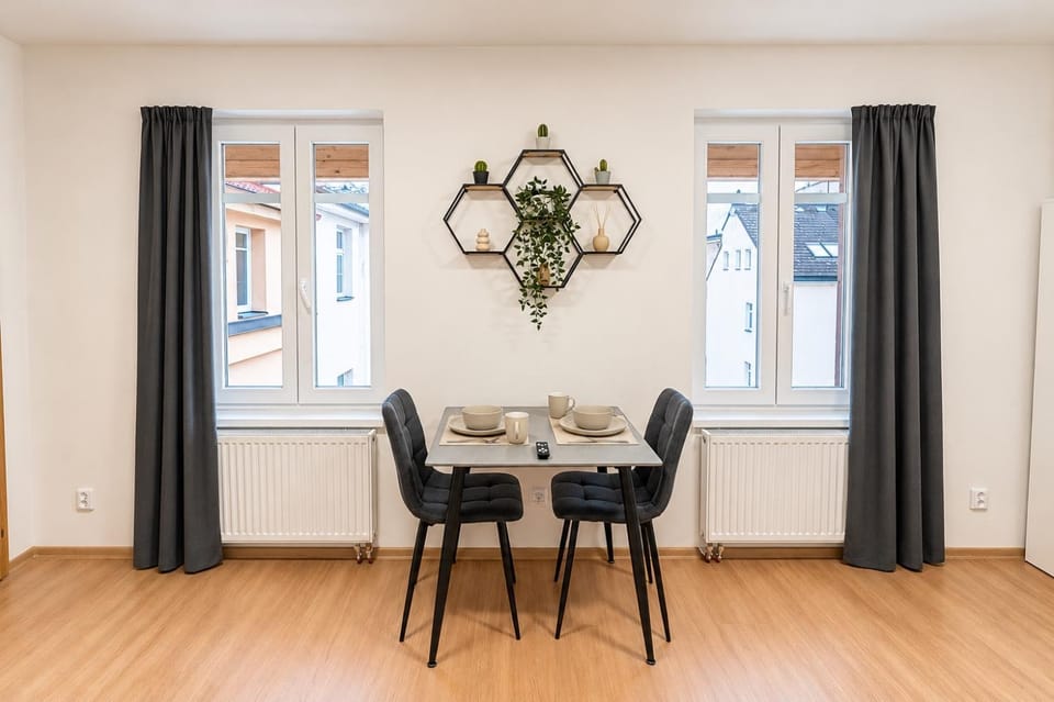 Modern & Bright City Center Studio for 2 by AP Apartment in Czechia