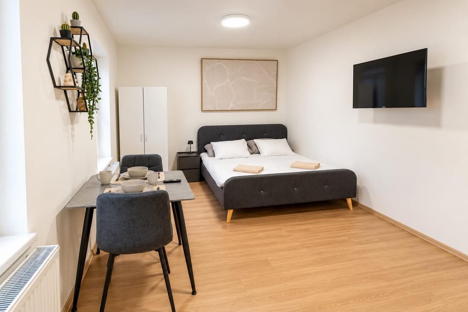 Modern & Bright City Center Studio for 2 by AP Apartment in Czechia
