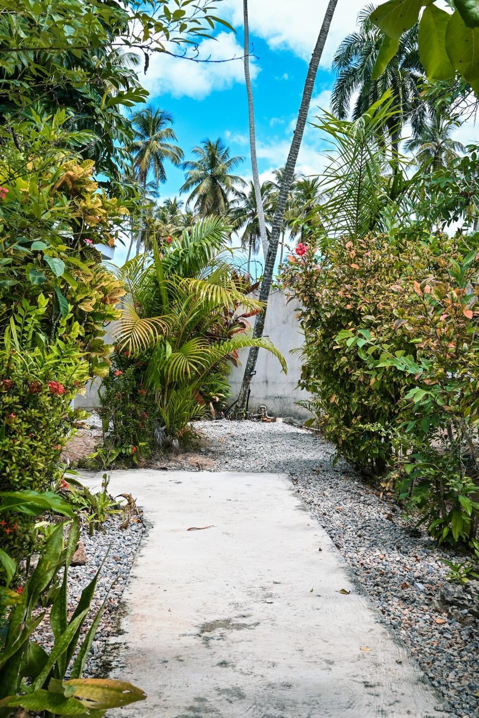Natural landscape