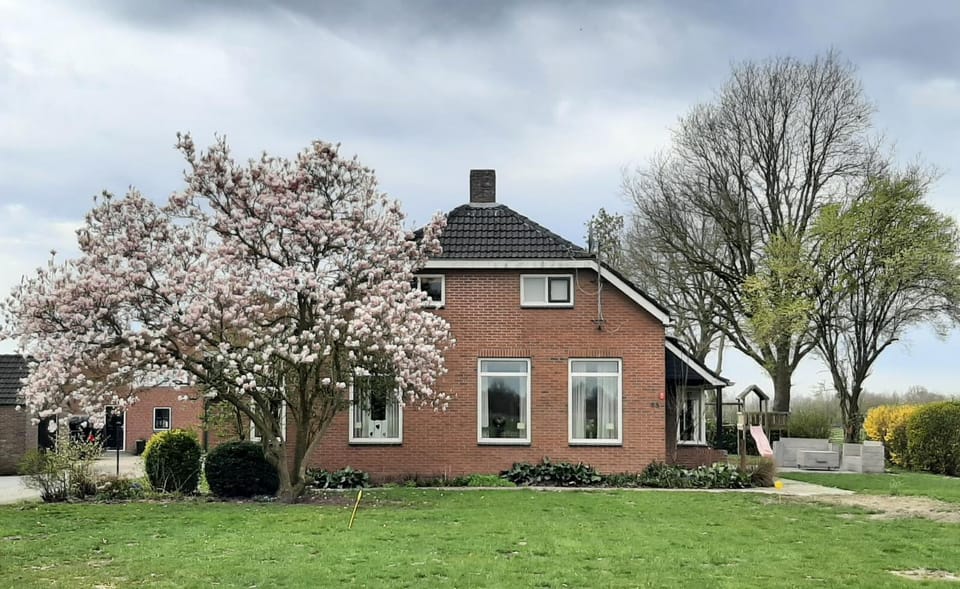 Property building, Children play ground, Garden, Garden view, Garden view, Entertainment