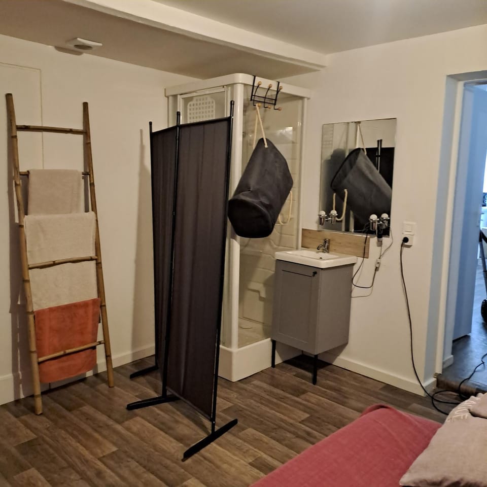 La petite Simonoise Apartment in Toulouse