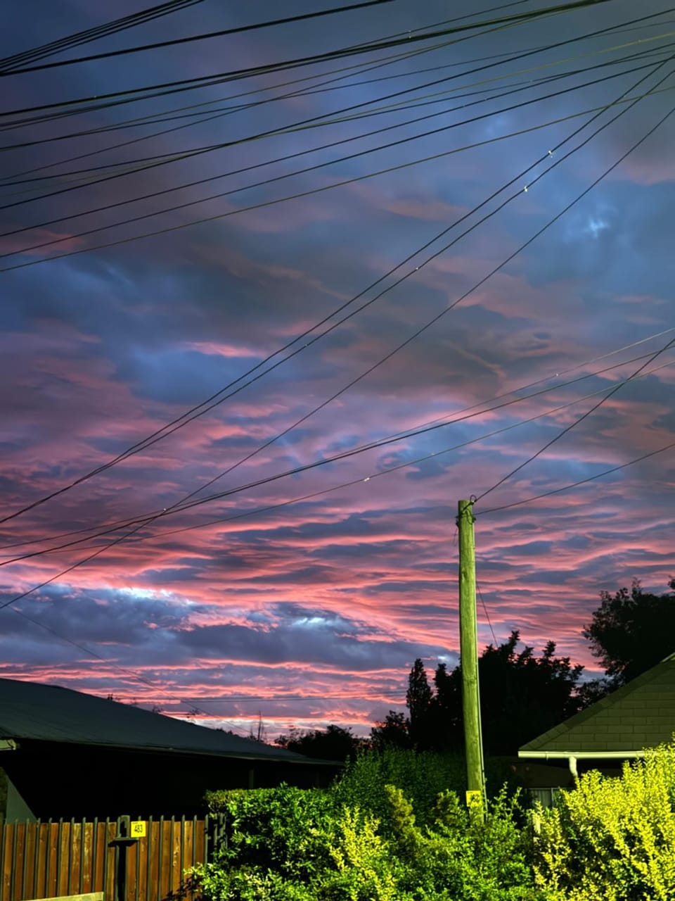 Garden view, Sunset