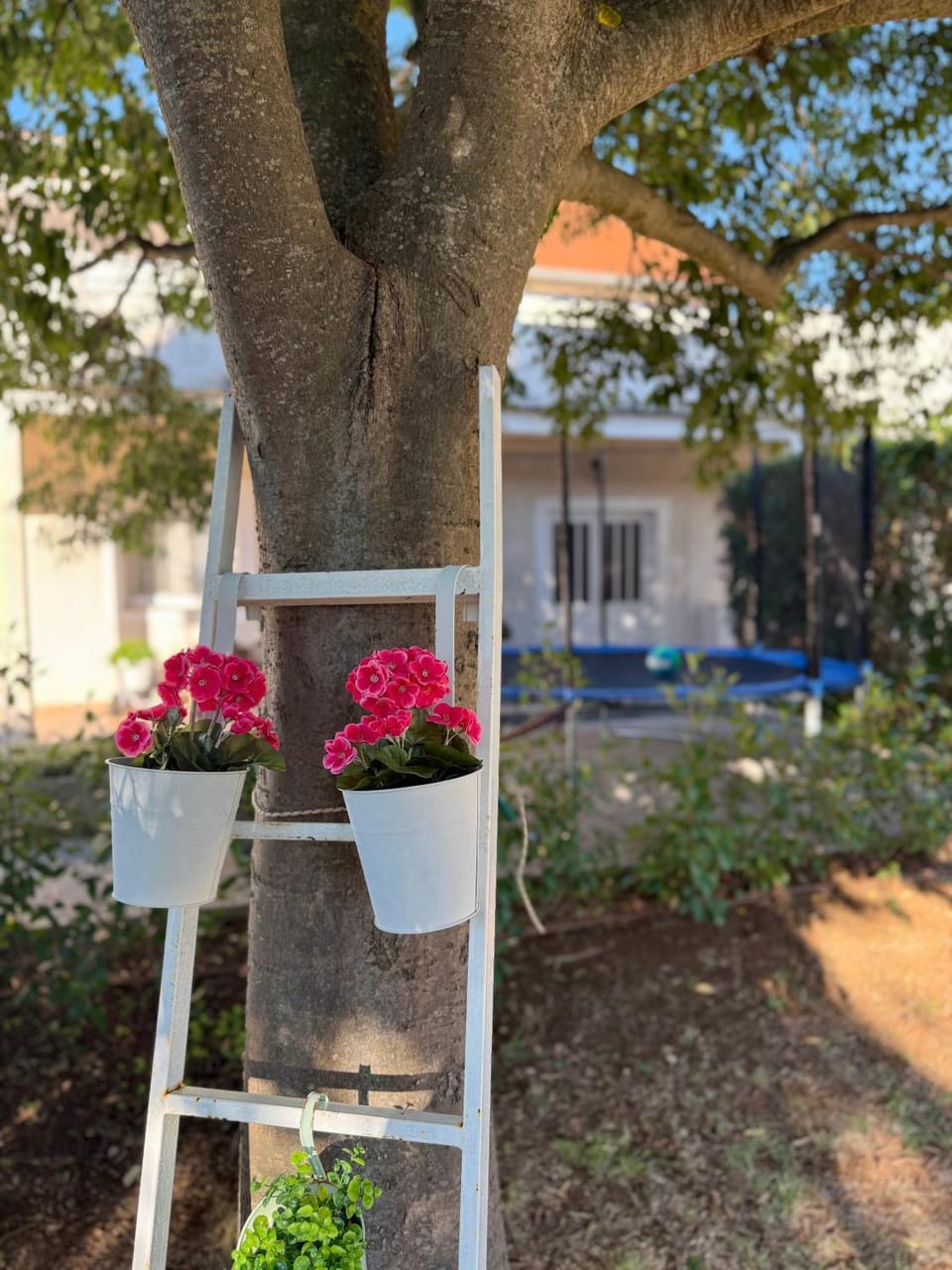 Property building, Patio, Garden