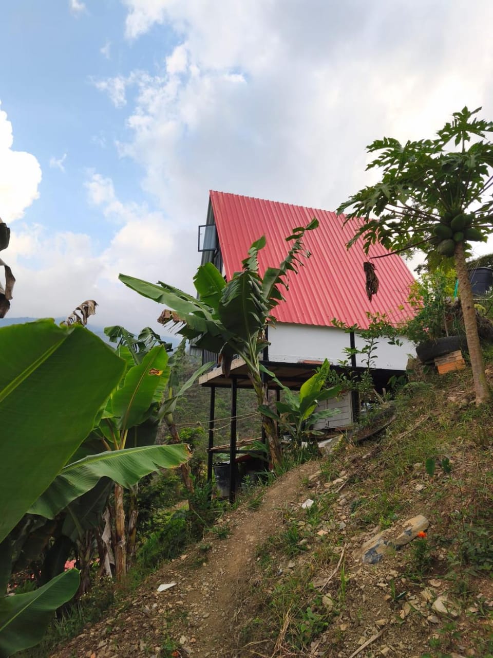 Property building, Natural landscape, Garden view
