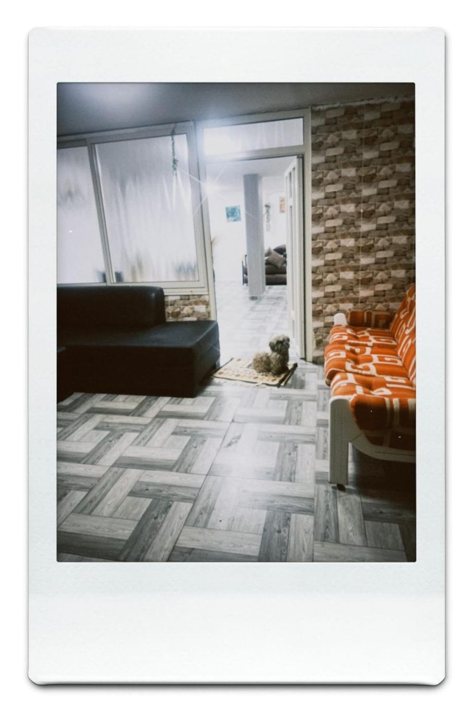 gardenia touch Apartment in North District