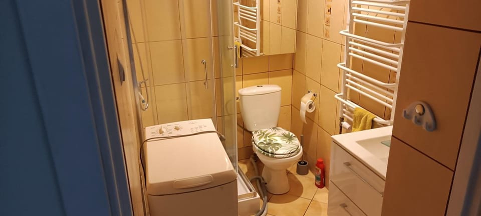 Deisy Apartment in Poznan