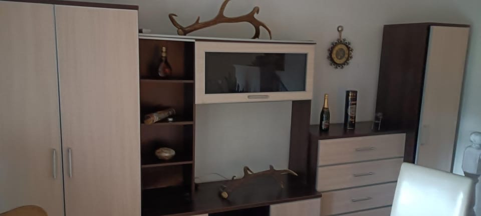 Deisy Apartment in Poznan