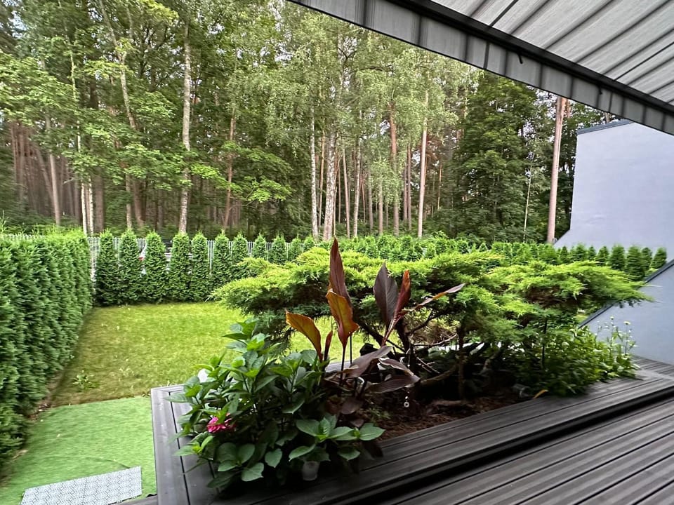 Garden view