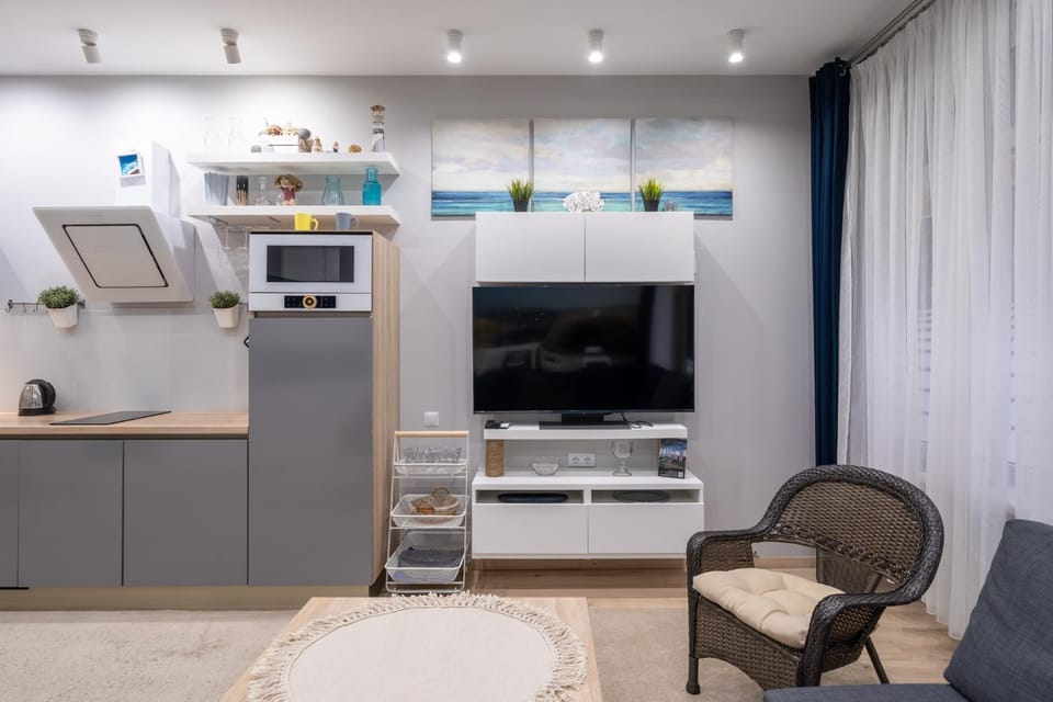 TV and multimedia