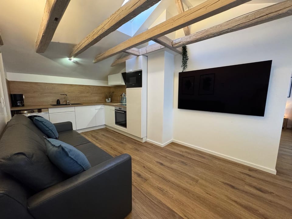 TV and multimedia, Coffee/tea facilities, Kitchen or kitchenette, Living room, air conditioner, air conditioner