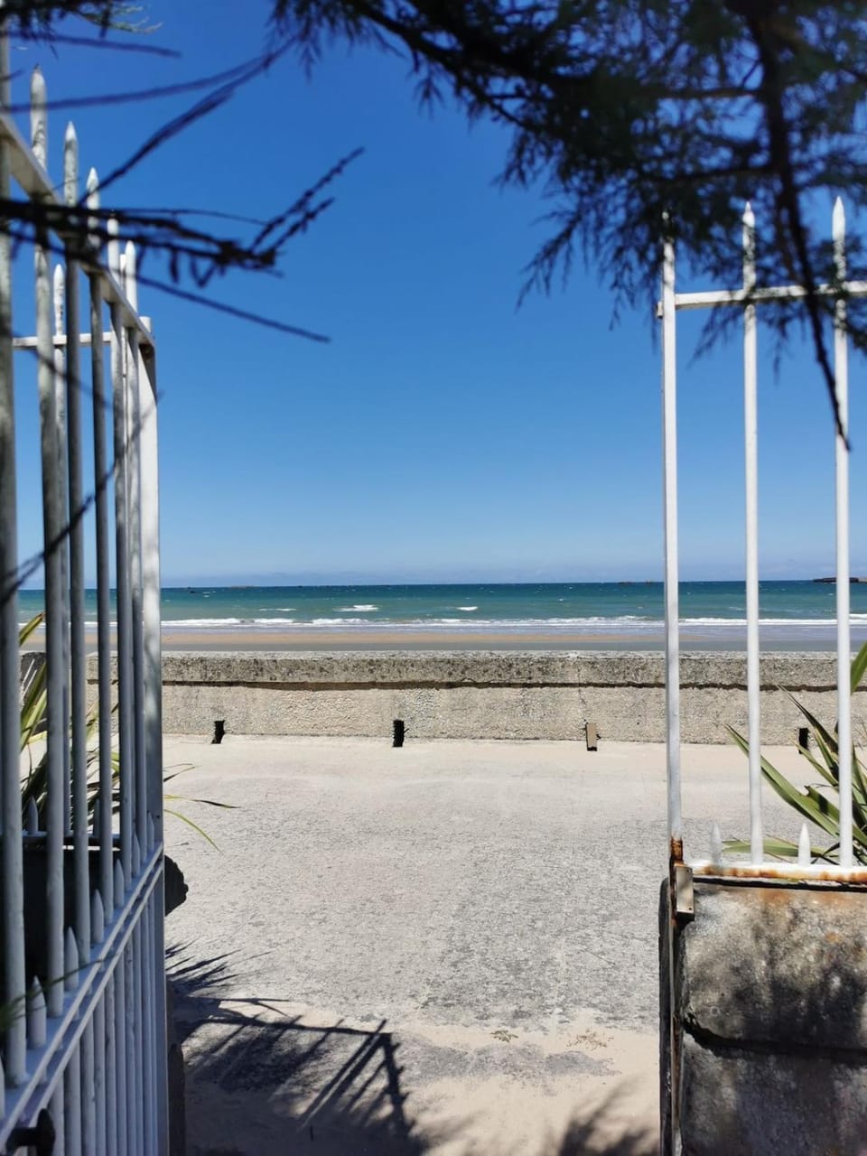Day, Natural landscape, Garden, Garden, Beach, Garden view, Sea view
