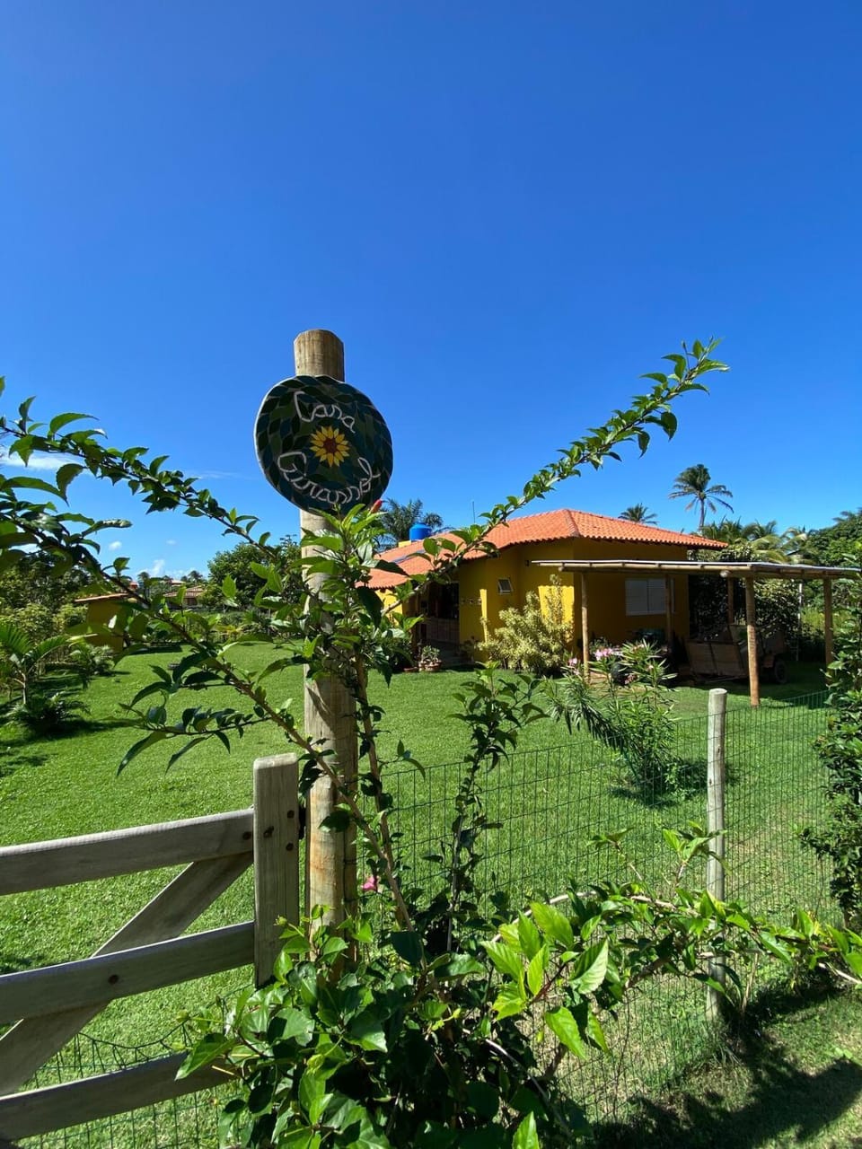 Garden view