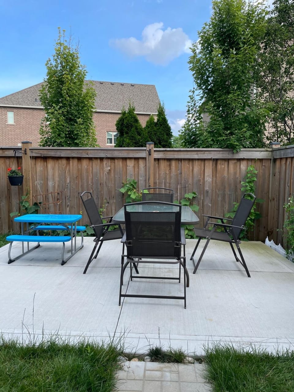 One bedroom and studio Basement Apartment unit sleeps 4 Apartment in Oakville