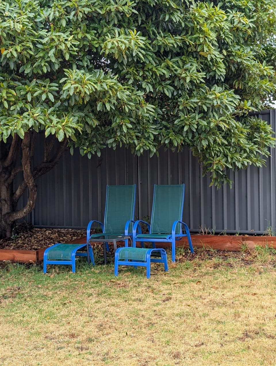 The Elephants Nest Luxury tent in Victor Harbor