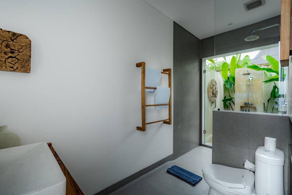 Toilet, Bathroom, towels