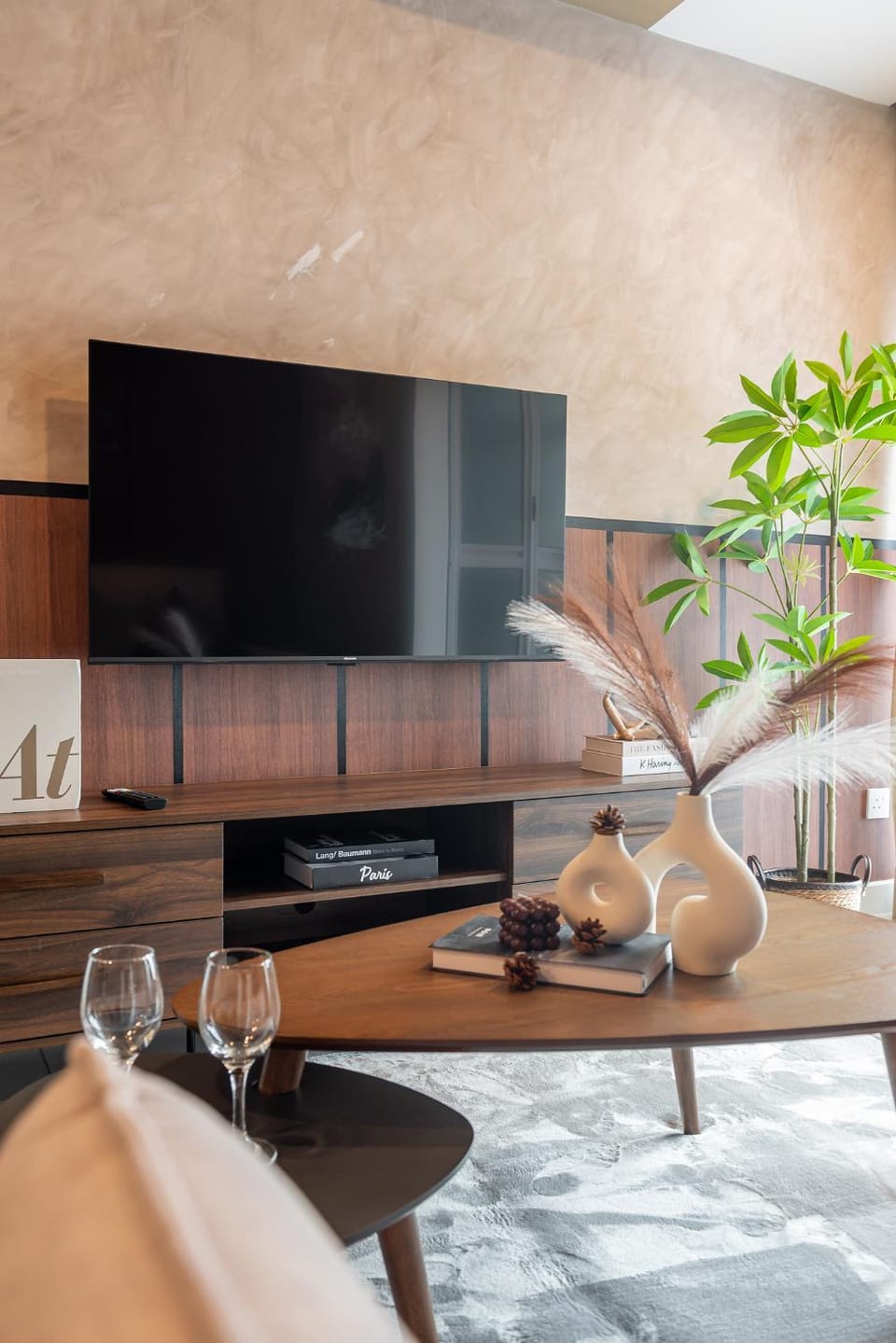 TV and multimedia