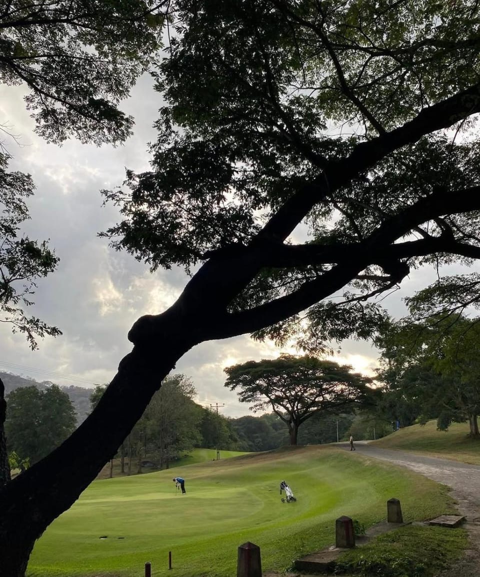 Day, Natural landscape, Golfcourse