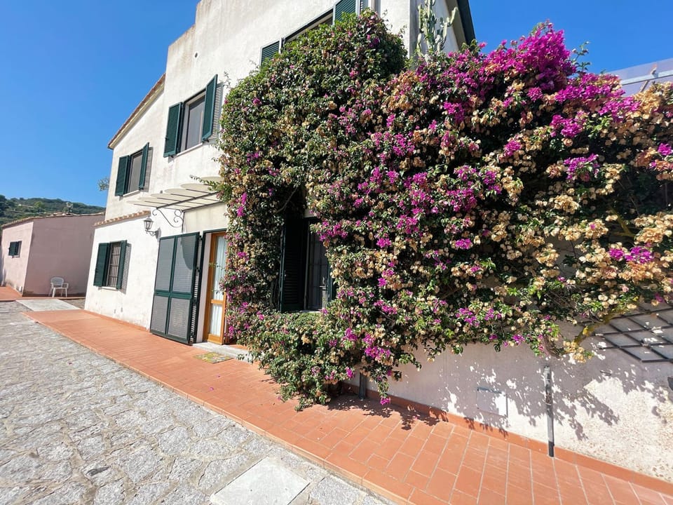 Property building, Day, Garden