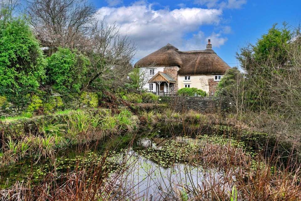 Property building, Patio, Garden, Garden view