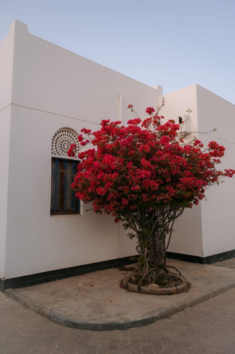 Bustan Shells House Bed and Breakfast in Muscat