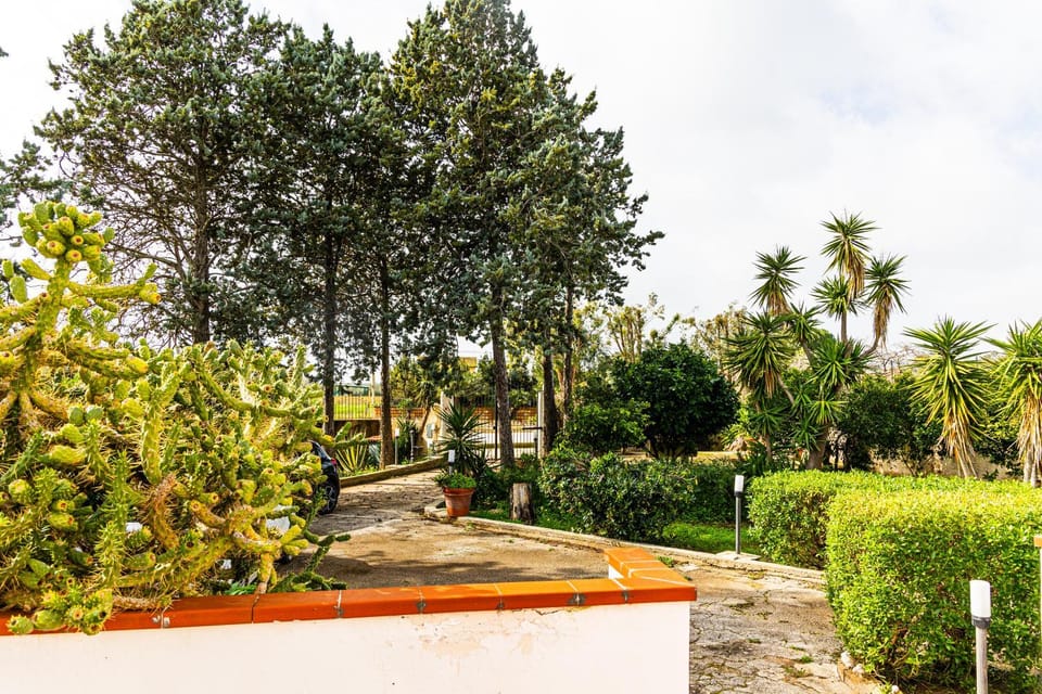Garden, Garden view, Garden view