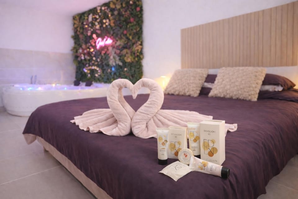 Logement entier avec jacuzzi proche futuroscope Apartment in Nouvelle-Aquitaine