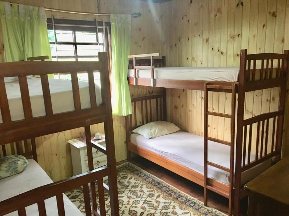 bunk bed