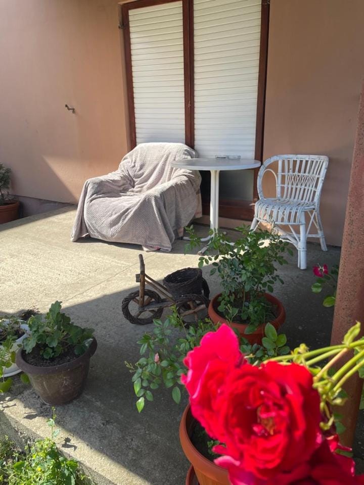 Property building, Patio