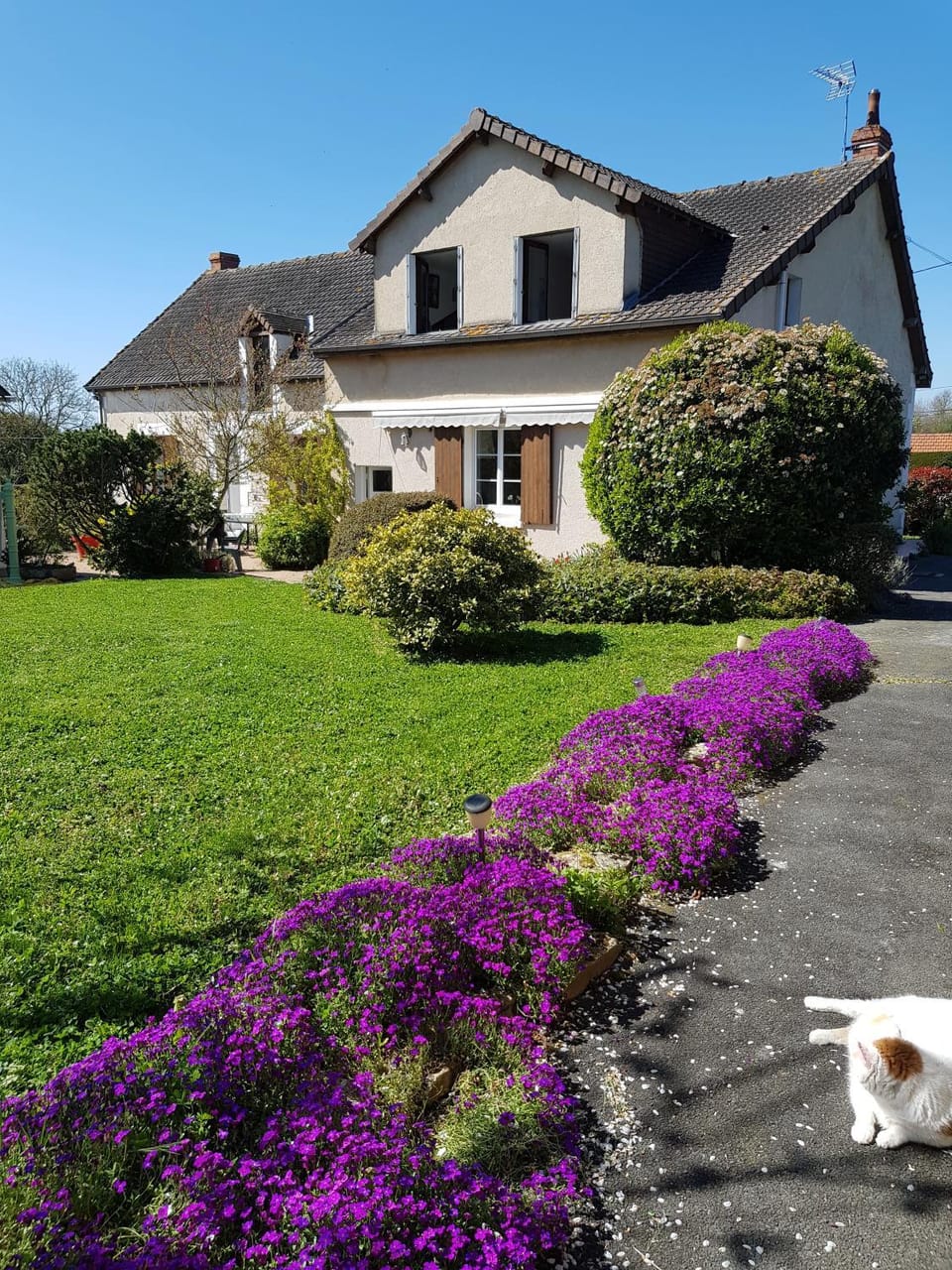 Property building, Garden