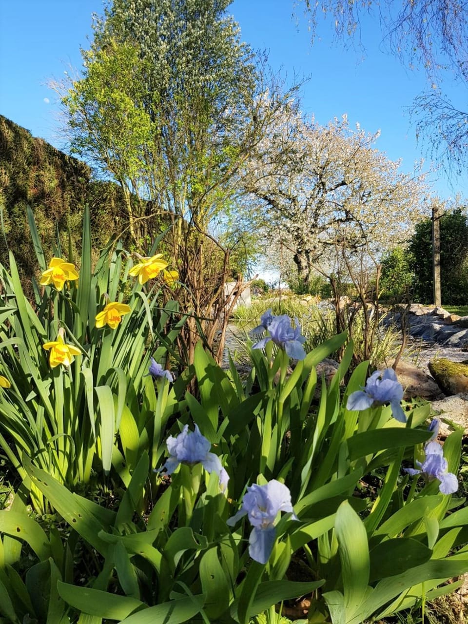Natural landscape, Garden