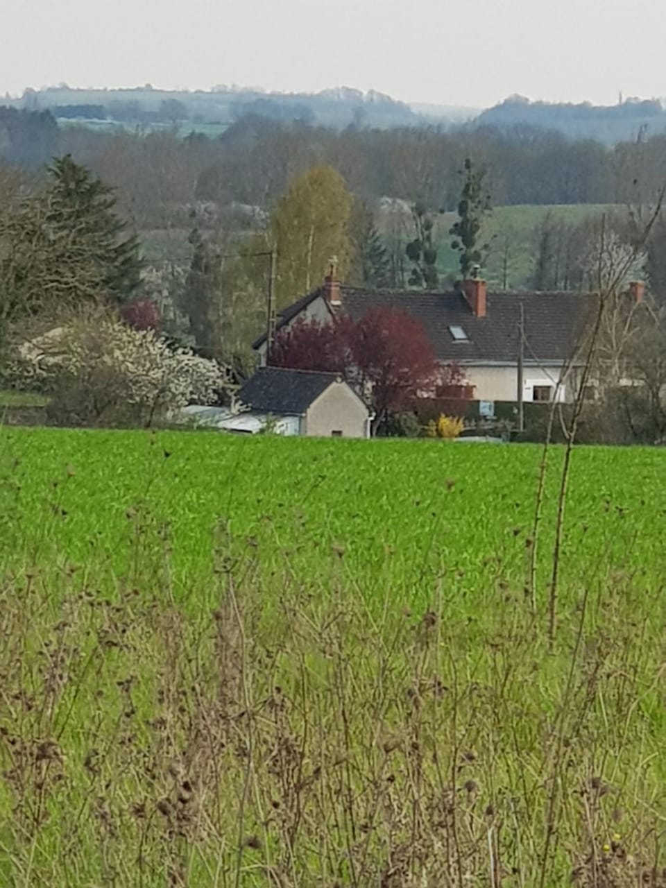 Neighbourhood, Natural landscape, Hiking