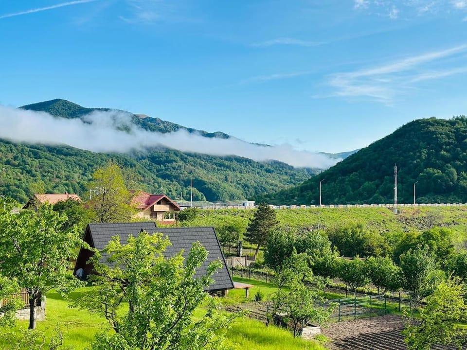MooN by Sun&Moon Cabins Cabin in Prahova, Romania