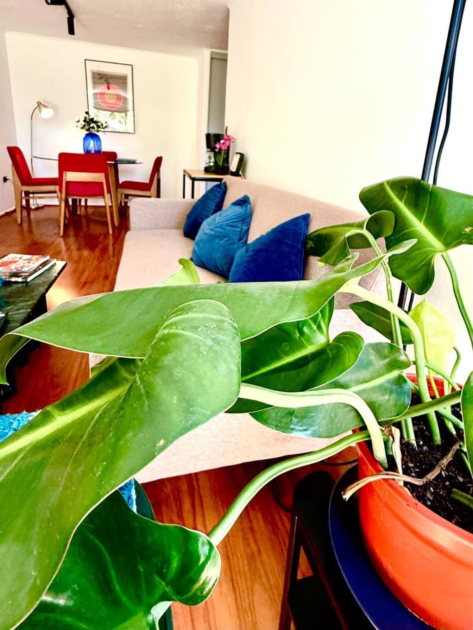Bright apartment in the heart of Santiago Apartment in Providencia