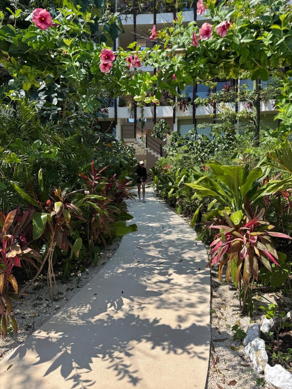 Alof Studio in the Jungle Apartment in State of Quintana Roo