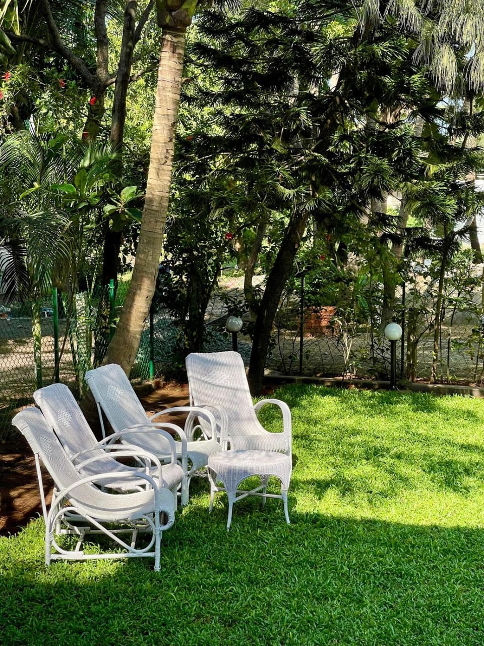 Garden view